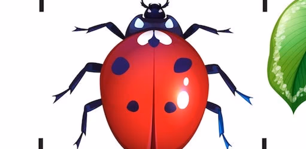 Bug Identifier Bug Finder Header - AppWisp.com Bug Identifier Bug Finder Header - AppWisp.com