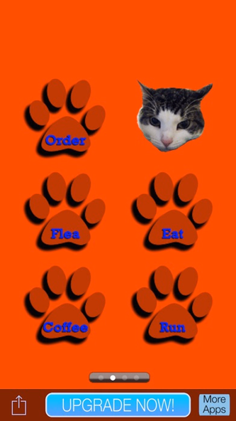 Kids Cat Jokes! Screenshot 4 - AppWisp.com Kids Cat Jokes! Screenshot 4 - AppWisp.com