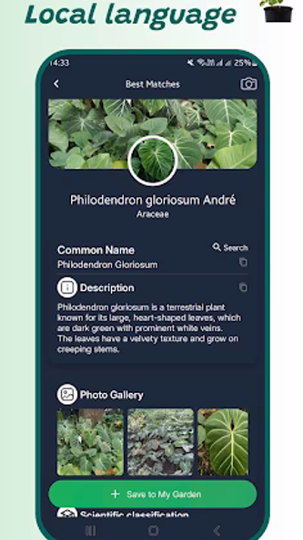 Plant identifier Screenshot 2 - AppWisp.com Plant identifier Screenshot 2 - AppWisp.com