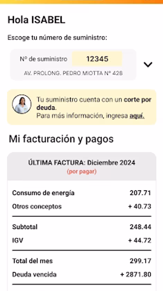 Luz del Sur Screenshot 3 - AppWisp.com Luz del Sur Screenshot 3 - AppWisp.com