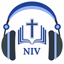 NIV Bible Audio - Holy Version - AppWisp.com