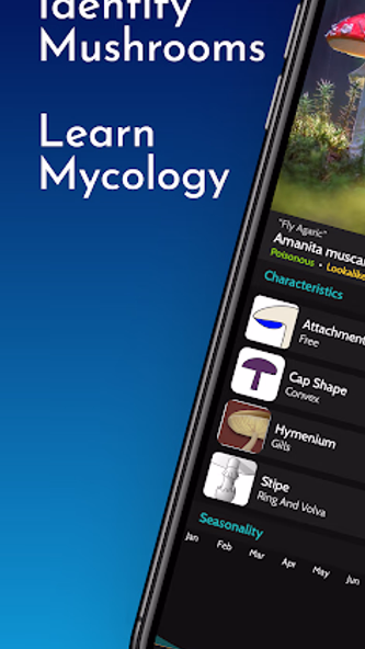 ShroomID - Identify Mushrooms! Screenshot 1 - AppWisp.com