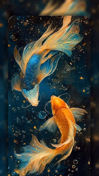 Betta Fish Wallpaper 4K Screenshot 4 - AppWisp.com Betta Fish Wallpaper 4K Screenshot 4 - AppWisp.com