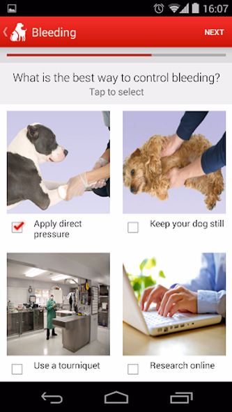Pet First Aid Screenshot 3 - AppWisp.com Pet First Aid Screenshot 3 - AppWisp.com