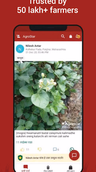 Agrostar: Kisan Agridoctor App Screenshot 1 - AppWisp.com Agrostar: Kisan Agridoctor App Screenshot 1 - AppWisp.com