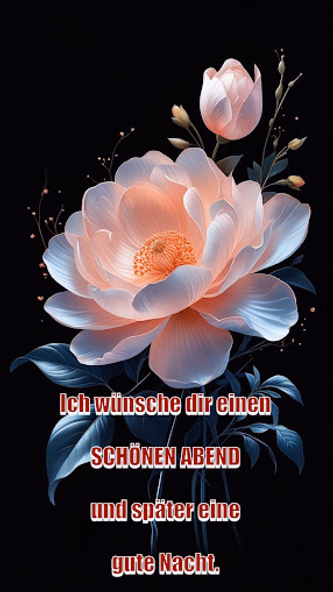 Gute Nacht Bilder Screenshot 4 - AppWisp.com Gute Nacht Bilder Screenshot 4 - AppWisp.com