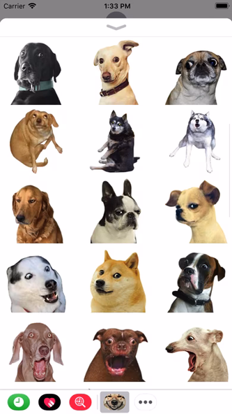 Funny Doge Animated Stickers Screenshot 2 - AppWisp.com Funny Doge Animated Stickers Screenshot 2 - AppWisp.com