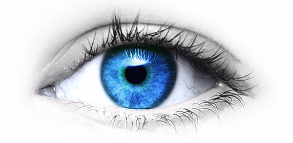 Eye Exercise: Improve Eyesight Header - AppWisp.com Eye Exercise: Improve Eyesight Header - AppWisp.com