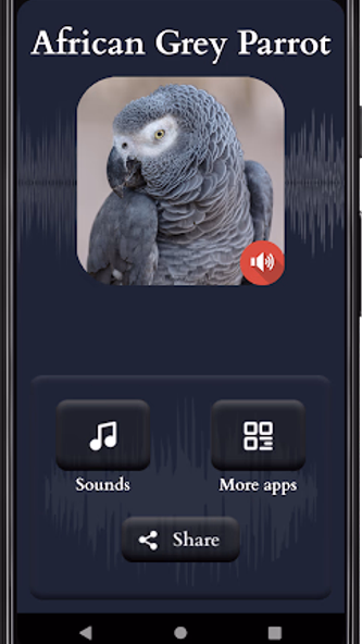 African Grey Parrot Sounds Screenshot 1 - AppWisp.com African Grey Parrot Sounds Screenshot 1 - AppWisp.com