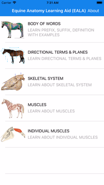 Equine Anatomy Learning Aid Screenshot 1 - AppWisp.com Equine Anatomy Learning Aid Screenshot 1 - AppWisp.com