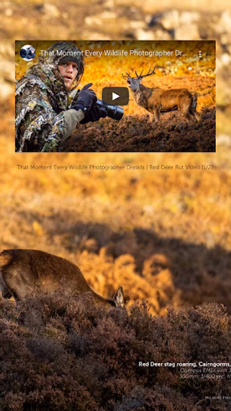 Wildlife Photographic Magazine Screenshot 4 - AppWisp.com Wildlife Photographic Magazine Screenshot 4 - AppWisp.com