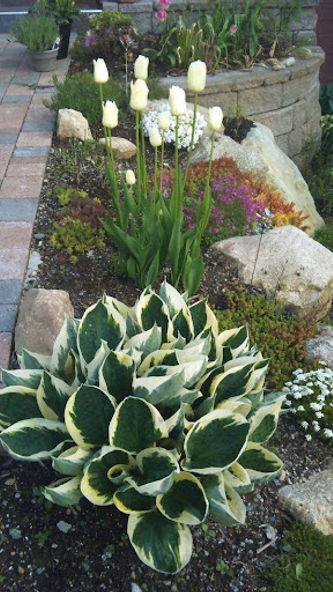 Garden Landscape Screenshot 1 - AppWisp.com Garden Landscape Screenshot 1 - AppWisp.com