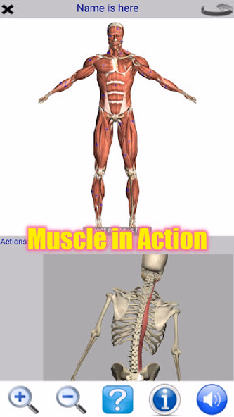 Visual Anatomy Lite Screenshot 1 - AppWisp.com Visual Anatomy Lite Screenshot 1 - AppWisp.com