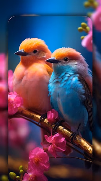 Birds Wallpaper in 4K Screenshot 3 - AppWisp.com Birds Wallpaper in 4K Screenshot 3 - AppWisp.com
