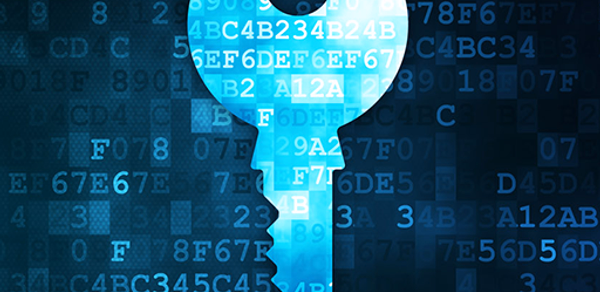 Connected Wifi Info Header - AppWisp.com Connected Wifi Info Header - AppWisp.com
