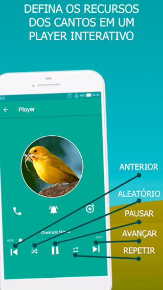 Canary bird singing Screenshot 4 - AppWisp.com Canary bird singing Screenshot 4 - AppWisp.com