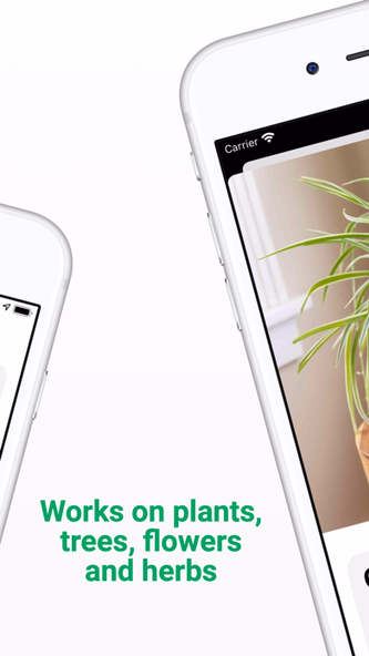 Plant ID - Identify Plants Screenshot 2 - AppWisp.com Plant ID - Identify Plants Screenshot 2 - AppWisp.com