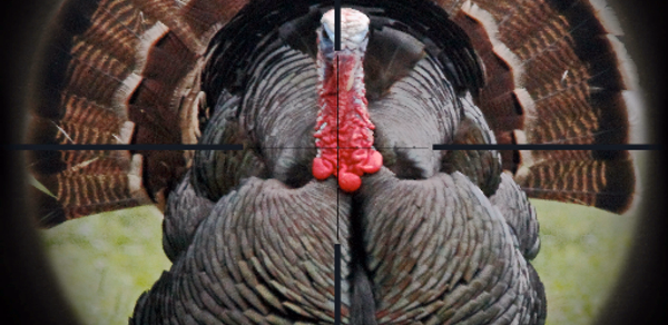 Turkey Hunting Calls Header - AppWisp.com Turkey Hunting Calls Header - AppWisp.com
