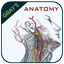 Gray's Anatomy - Anatomy Atlas - AppWisp.com