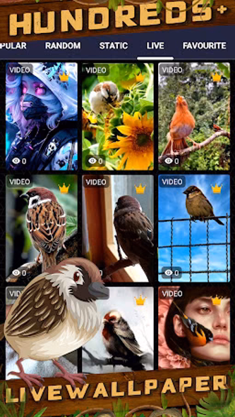 sparrow wallpaper Screenshot 3 - AppWisp.com sparrow wallpaper Screenshot 3 - AppWisp.com