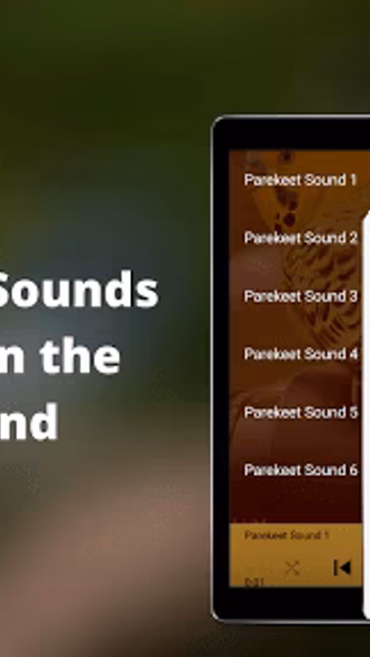Parakeet Sounds Screenshot 3 - AppWisp.com Parakeet Sounds Screenshot 3 - AppWisp.com