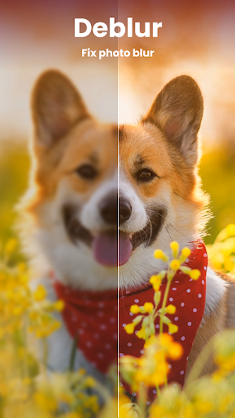 Enhance it - AI Photo Editor Screenshot 2 - AppWisp.com Enhance it - AI Photo Editor Screenshot 2 - AppWisp.com