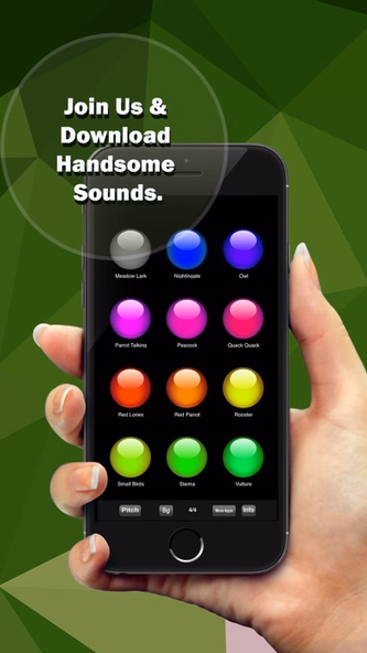 Ultimate Birds Soundboard app Screenshot 3 - AppWisp.com Ultimate Birds Soundboard app Screenshot 3 - AppWisp.com