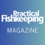 Practical Fishkeeping - AppWisp.com
