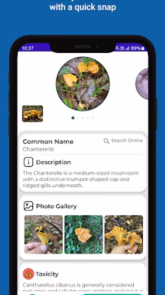 Mushroom identifier Screenshot 1 - AppWisp.com Mushroom identifier Screenshot 1 - AppWisp.com
