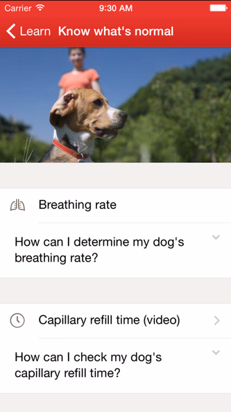 Pet First Aid: Screenshot 2 - AppWisp.com Pet First Aid: Screenshot 2 - AppWisp.com