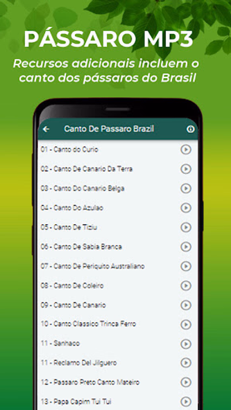 Canto do Azulão Fêmea Screenshot 3 - AppWisp.com Canto do Azulão Fêmea Screenshot 3 - AppWisp.com