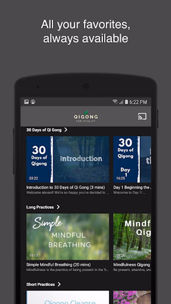 Qigong for Vitality Screenshot 3 - AppWisp.com Qigong for Vitality Screenshot 3 - AppWisp.com