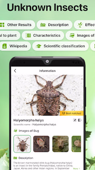 Bug Identifier Bug Finder Screenshot 3 - AppWisp.com Bug Identifier Bug Finder Screenshot 3 - AppWisp.com