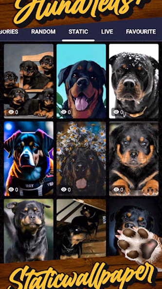rottweiler wallpaper Screenshot 4 - AppWisp.com rottweiler wallpaper Screenshot 4 - AppWisp.com
