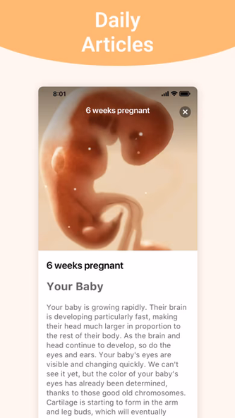 Pregnancy + | Tracker App Screenshot 3 - AppWisp.com Pregnancy + | Tracker App Screenshot 3 - AppWisp.com