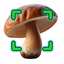 Mushroom Identification - AppWisp.com