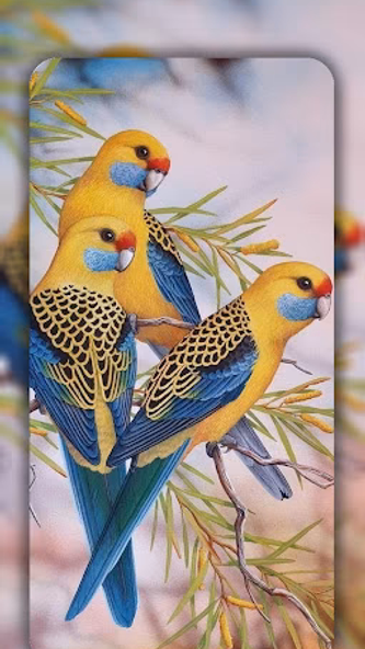 Birds Wallpaper in 4K Screenshot 4 - AppWisp.com Birds Wallpaper in 4K Screenshot 4 - AppWisp.com