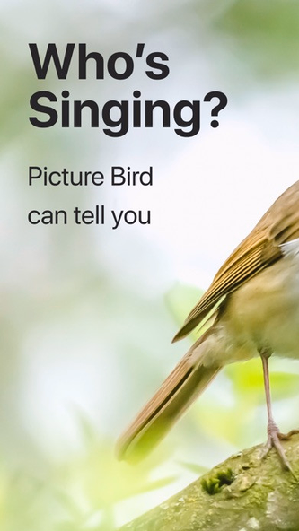 Picture Bird - Bird Identifier Screenshot 1 - AppWisp.com Picture Bird - Bird Identifier Screenshot 1 - AppWisp.com