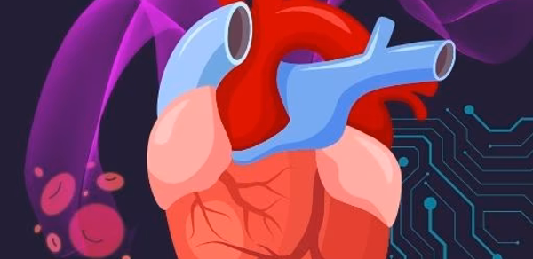 Human Anatomy E Theories Header - AppWisp.com Human Anatomy E Theories Header - AppWisp.com