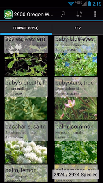 Kansas Plants Screenshot 1 - AppWisp.com Kansas Plants Screenshot 1 - AppWisp.com