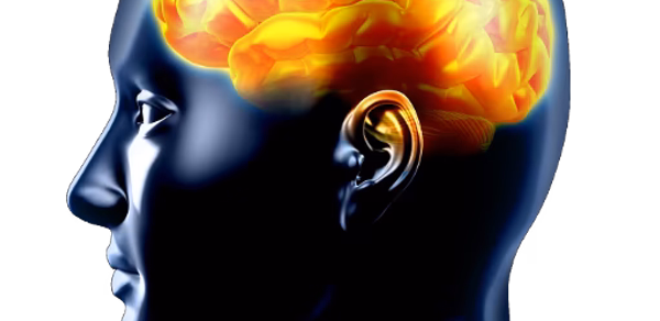 Brain Training Header - AppWisp.com Brain Training Header - AppWisp.com