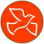 Racing Pigeons-Results&Weather - AppWisp.com