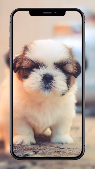 Dog Wallpapers Screenshot 3 - AppWisp.com Dog Wallpapers Screenshot 3 - AppWisp.com