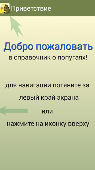 Parrots Screenshot 2 - AppWisp.com Parrots Screenshot 2 - AppWisp.com