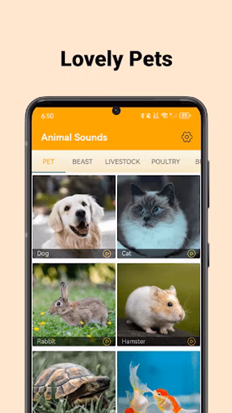 Animal Sounds - enjoy sounds Screenshot 4 - AppWisp.com Animal Sounds - enjoy sounds Screenshot 4 - AppWisp.com