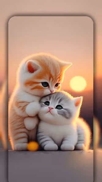 Cute Cat Wallpaper Live HD 4K Screenshot 1 - AppWisp.com Cute Cat Wallpaper Live HD 4K Screenshot 1 - AppWisp.com