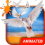 Doves Live Wallpaper Theme - AppWisp.com
