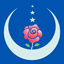Kur'an-ı Kerim - iPad için - AppWisp.com
