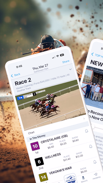 HorseRacesNow Screenshot 2 - AppWisp.com HorseRacesNow Screenshot 2 - AppWisp.com