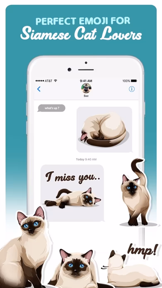 Siamese Cats Emoji Sticker Screenshot 1 - AppWisp.com Siamese Cats Emoji Sticker Screenshot 1 - AppWisp.com